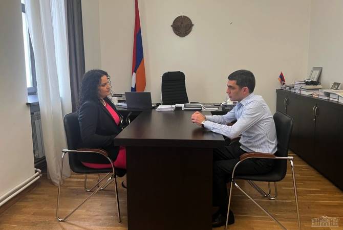 Artsakh Foreign Minister holds meeting with philanthropist Anna Astvatsaturian-Turcotte