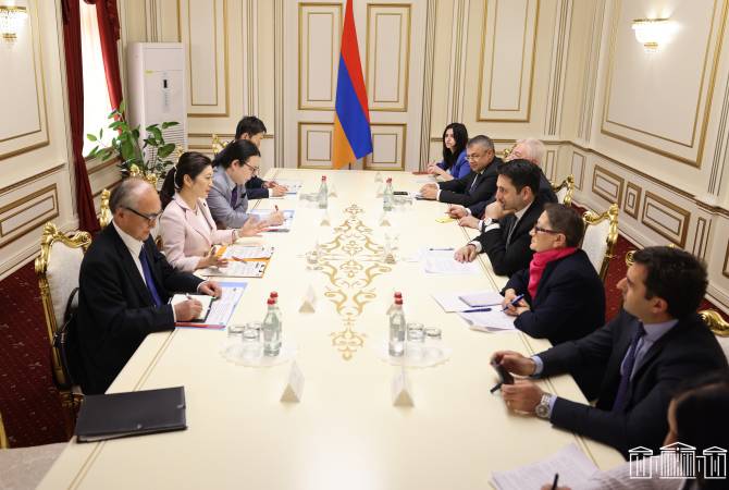 Alen Simonyan receives the Parliamentary Vice-Minister for Foreign Affairs of Japan Yuumi 
Yoshikawa