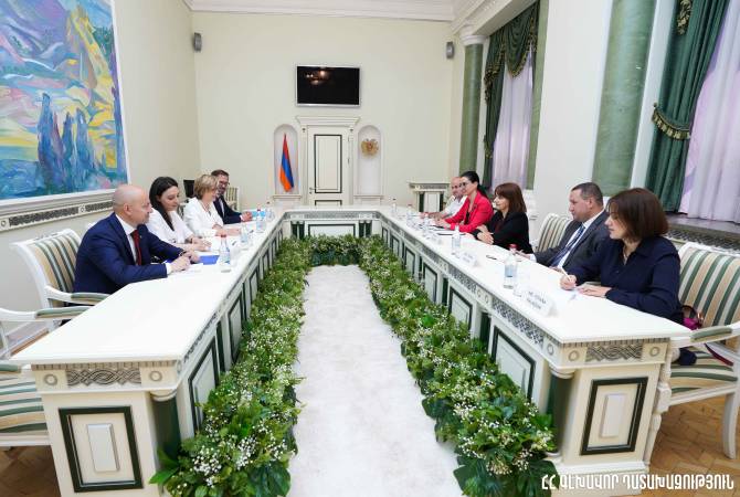  Генеральный прокурор Республики Армения приняла делегацию во главе с 
исполнительным директором Европола 