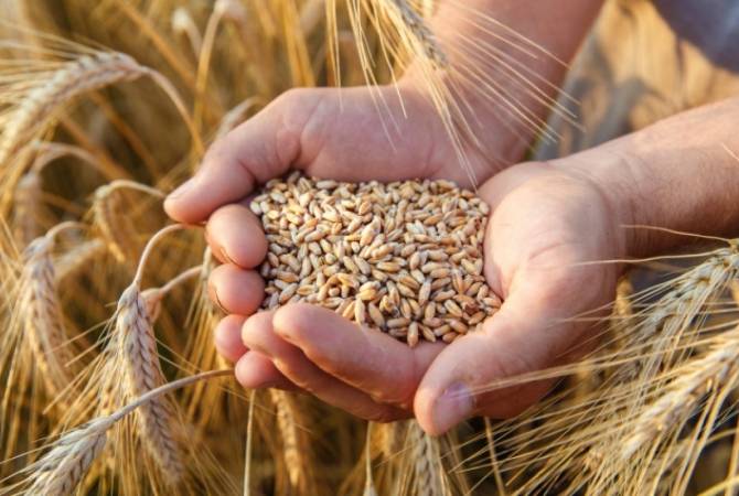  РФ поставит зерно в беднейшие страны за свой счет при прекращении зерновой 
сделки: Сергей Лавров 