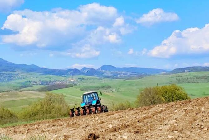Азербайджан обстреливает единственное пшеничное поле Сарушена, не давая 
собрать урожай. Госминистр Арцаха
