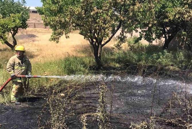  18-20 августа потушены пожары на 52,4 га травянистых участков в разных регионах 
Армении 