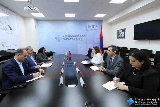  В Армении и Иране будут созданы комитеты по координации достижений в области 
медицины, фармацевтики и ряда других сфер 