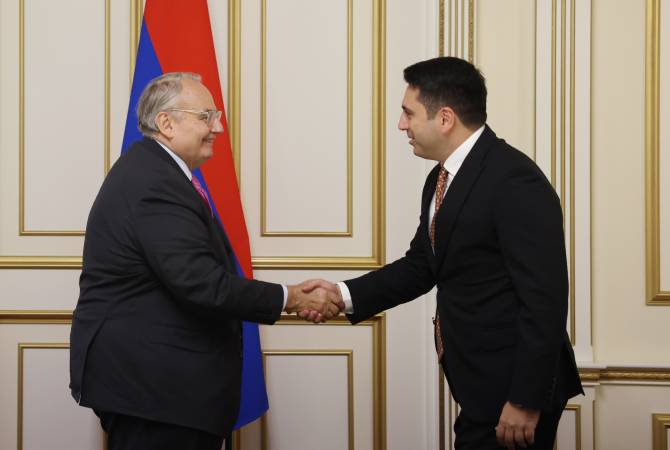 Председатель НС Армении принял председателя комитета по внешним отношениям 
НС Франции