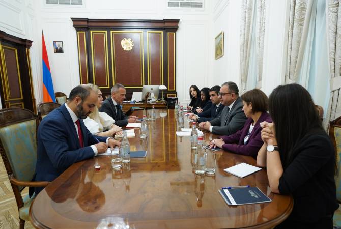  Вице-премьер Тигран Хачатрян принял главу делегации Международного комитета 
Красного Креста в Армении 