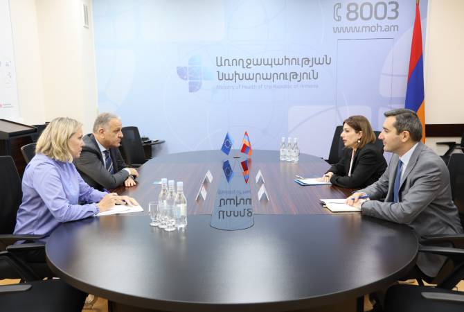  Министр здравоохранения Армении приняла посла Европейского Союза 