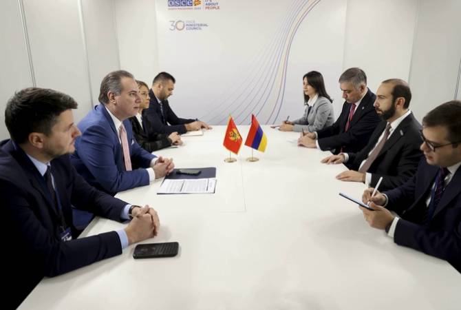 Les ministres des Affaires étrangères de l'Arménie et du Monténégro discutent de sujets 
bilatéraux à l'ordre du jour