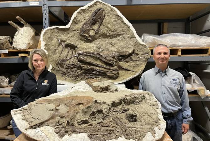 بقایای یک تیرانوزاروس با دو جنین در شکمش در کانادا کشف شد