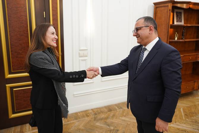 Вице-премьер Тигран Хачатрян принял регионального директора ЮНИСЕФ по 
странам Европы и Центральной Азии