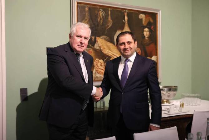 Minister Suren Papikyan, Lithuanian counterpart discuss bilateral issues