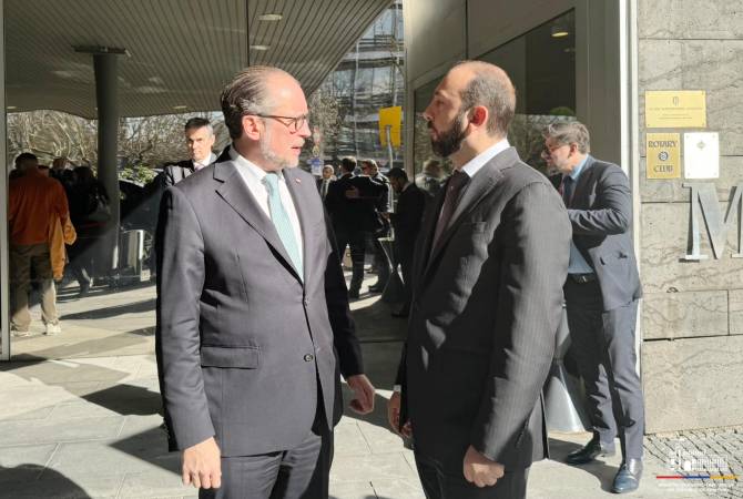Ararat Mirzoyan discusses security situation in South Caucasus with Foreign Ministers of 
Austria and Estonia