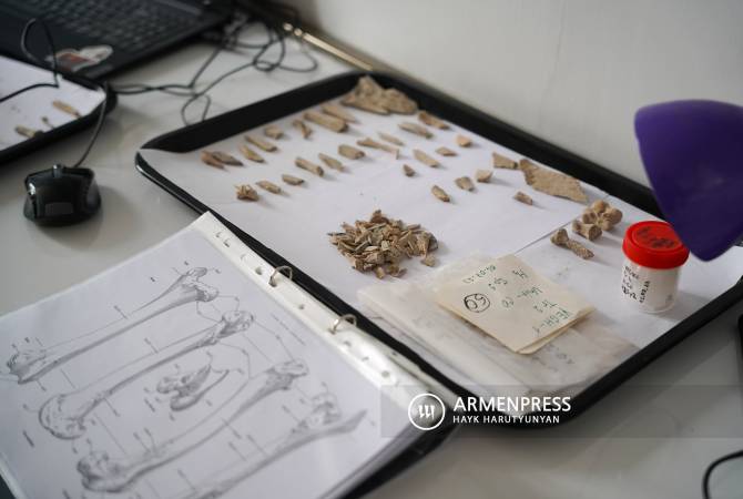 علماء الآثار يكتشفون أكثر من 30 ألف قطعة أثرية من مقبرة عمرها 6000 عام في يغيجيس بأرمينيا 