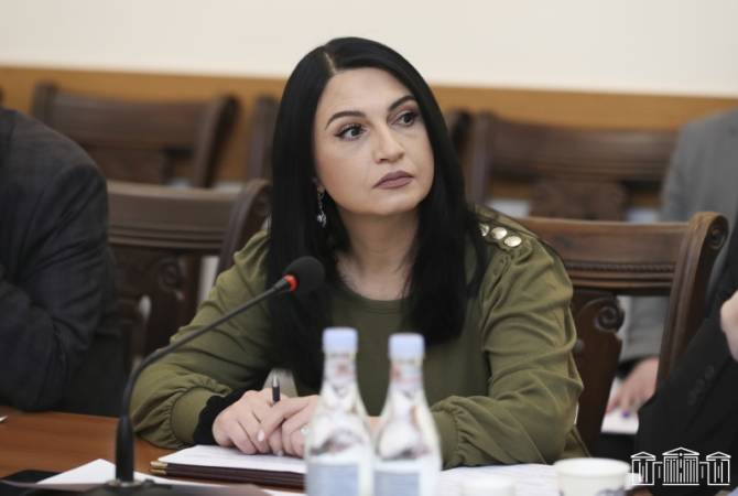  Депутат НС Армении Лилит Степанян примет участие в 68-й сессии Комиссии ООН по 
положению женщин 