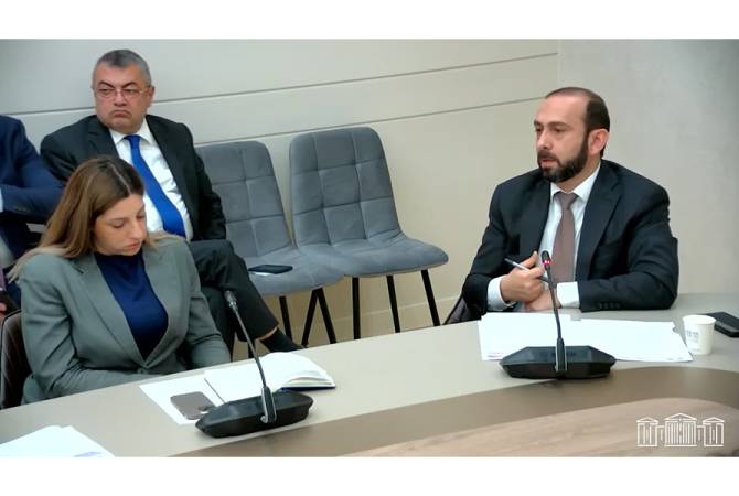 Mirzoyan aseguró que Armenia hizo esfuerzos activos para que la OTSC evalúe lo sucedido 
de forma aceptable
