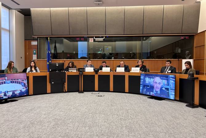 Debate en Parlamento Europeo: Casos judiciales de prisioneros de guerra armenios 
contradicen el derecho internacional
