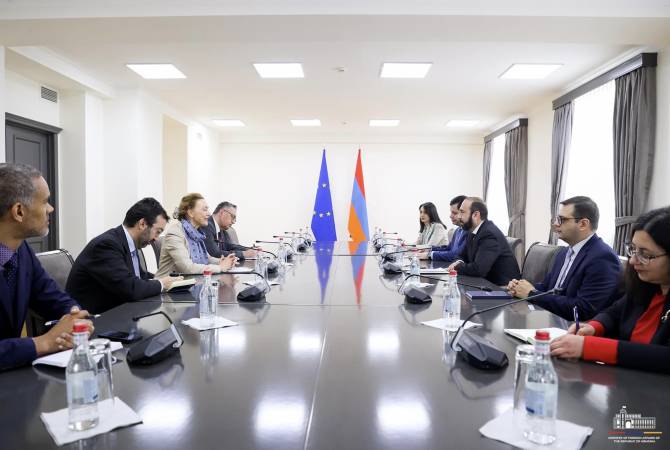  Министр иностранных дел Армении и генеральный секретарь Совета Европы 
обсудили вопросы региональной стабильности 