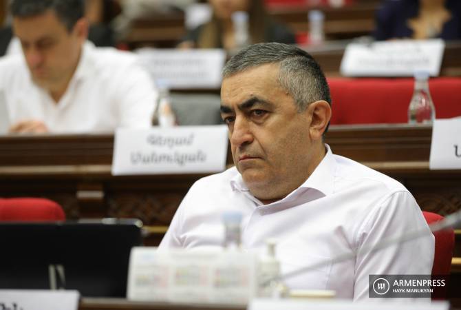 Հատվածական սահմանազատումն ու սահմանագծումը հակասում է Հայաստանի 
շահերին․ Արմեն Ռուստամյան