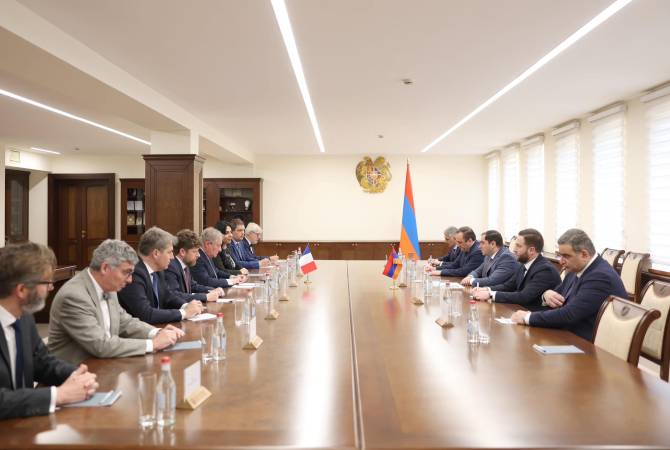 国防部长帕皮坎与法国代表团讨论了亚美尼亚与法国的合作