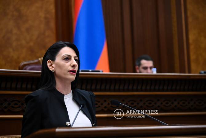 Defensoría de Derechos Humanos preocupada por la práctica de detenciones en Armenia

