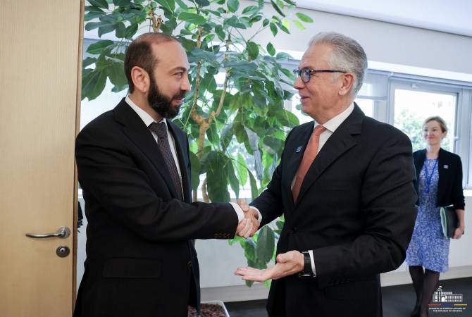 Ministro de Asuntos Exteriores de Armenia se reunió con el presidente de Asamblea 
Parlamentaria del Consejo de Europa 