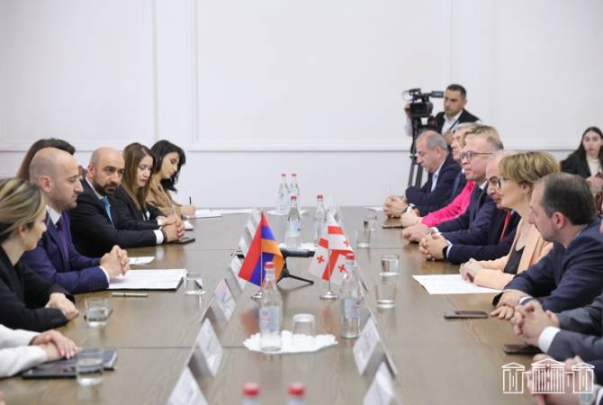 Vicepresidente de la Asamblea Nacional recibió al presidente de la Comisión de Cultura del 
Parlamento de Georgia
