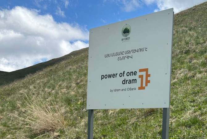 Tree Planting Results with My Forest Armenia: The Power of One Dram