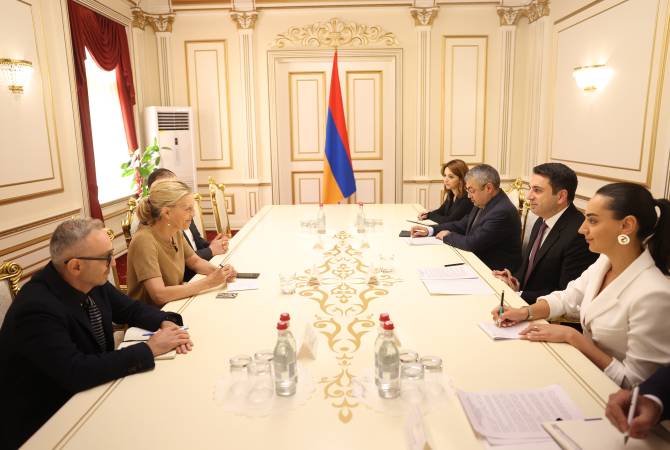 Le président de l'Assemblée nationale a reçu la nouvelle coordinatrice résidente des 
Nations Unies en Arménie
