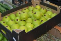 ՍԱՊԾ-ն ադրբեջանական ծագման խնձորների նմուշներում շեղումներ չի արձանագրել