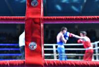 Ermeni boksörler Türk ve Azerbaycanlı rakiplerini yenerek finale yükseldi