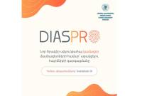 DiasPro program has been launched for volunteer professionals from the Diaspora

