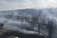 Մալիշկա գյուղում մոտ 8000 քմ խոտածածկույթ և 2 մեղվի փեթակ է այրվել
