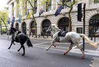 Runaway cavalry horses caught in London as several people hurt
