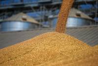 Россия и ООН подтвердили важность обеспечения экспорта российского зерна
