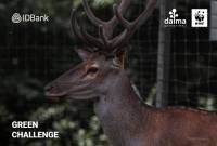 IDBank и Dalma для программы реинтродукции кавказского оленя