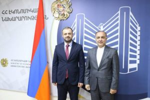 经济部长与伊朗大使讨论了在亚美尼亚开设伊朗商品贸易中心的问题