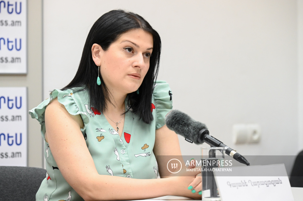 Press conference of representative of Ministry of Labor and Social Affairs Gayane Gharagyozyan