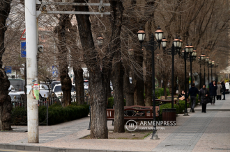 سيتم
 تنفيذ أعمال الاستبدال وزراعة المزيد الأشجار في عدد من 
شوارع
 يريفان

